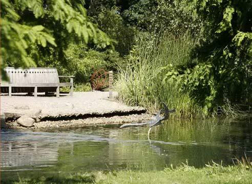 Пезажный садовый стиль, водоем в саду ландшафтного