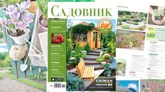 Сколько раз в день поливать огурцы Сколько раз в день поливать огурцы
