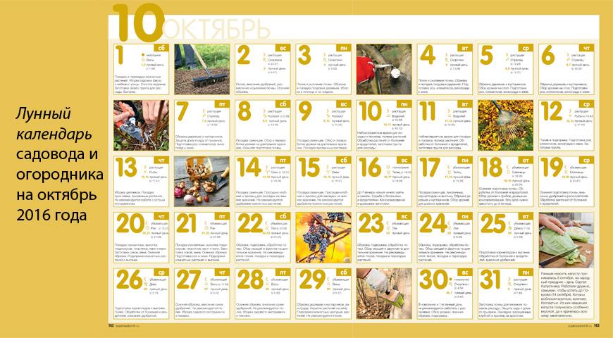 Пост петра и павла 2017 календарь