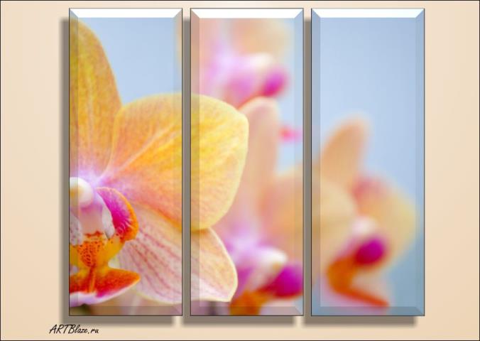 Орхидеи на модульных картинах