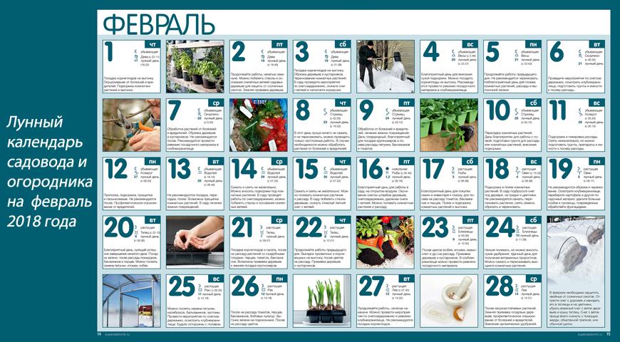 Лунный посевной календарь на февраль 2018 года садовода и огородника Лунный посевной календарь на февраль 2018 года садовода и огородника