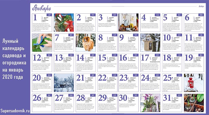 Лунный посевной календарь садовода и огородника на январь 2020 года