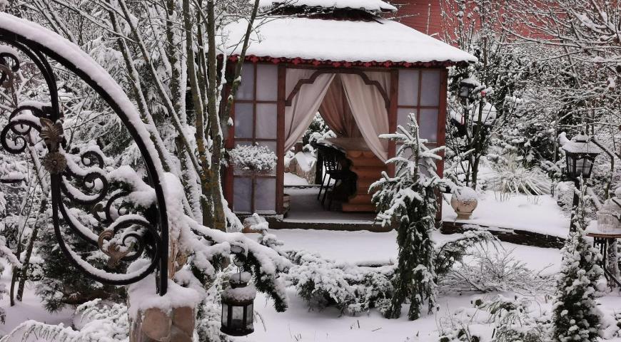 Зима в китайском саду