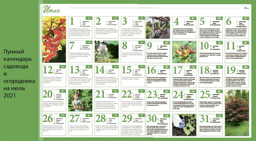 Лунный посевной календарь садовода, цветовода и огородника на июль 2021 года
