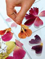 Декорирование цветами