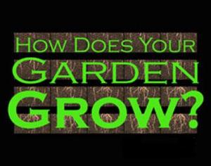 "Как растет ваш сад?" - необычная выставка