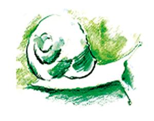 Ландшафтная архитектура. Взгляд из дома