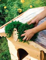 Распределение растений на крыше