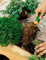 Конура с цветочной крышей. Шаг 4