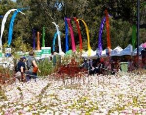 Австралийский фестиваль весны