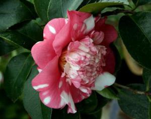 В Иркутске откроют экологический технопарк 