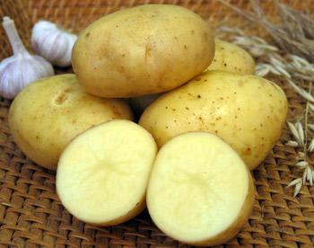 Картофель, плоды