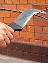 Подготовка ветвей