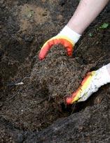 Внесение субстрата в посадочную яму