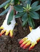 Утрамбовка почвы