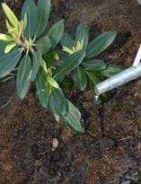 Увлажнение почвы