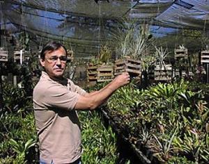 И один в поле воин?