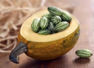 Мелотрия шершавая