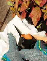 Пересаживаем растения в контейнер для зимовки