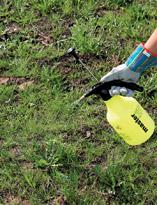 Обработка сорных трав гербицидами Обработка сорных трав гербицидами