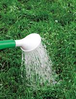 Полив газона