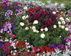 Кузьминками руководит второклассница