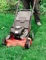 Ухаживаем за газоном. Мастер-класс