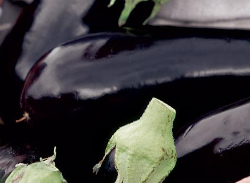 Баклажан, плоды, Solanum melongena