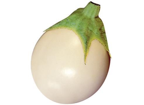 Баклажан сорта Пинг-понг, Solanum melongena