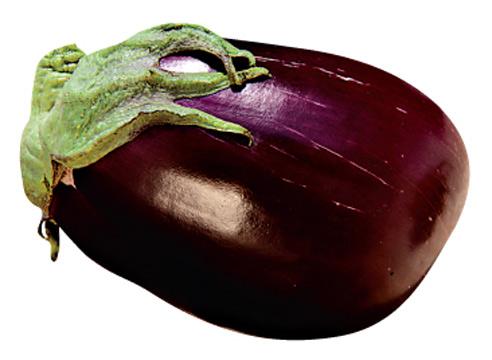 Баклажан сорта Альбатрос, Solanum melongena