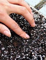 Почвенная смесь, лунки для семян