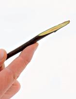 Алыча, срез на привое