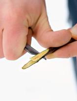 Алыча, язычок на привое