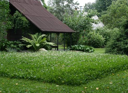 Пейзажный садовый стиль, газон в ландшафтном садов