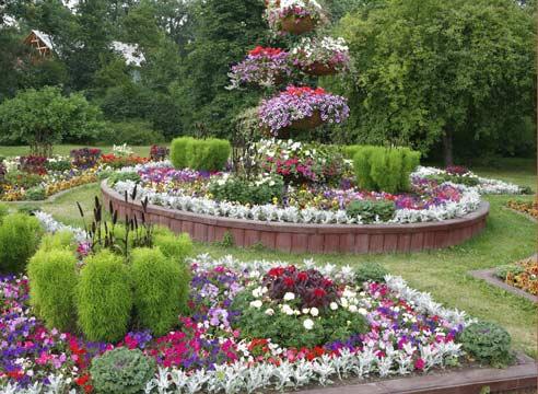 Сад регулярного стиля, композиция из цветов