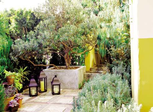 Средиземноморский садовый стиль