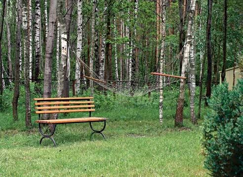 Скамейка под деревьями рядом с гамаком