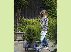 Выбираем саженцы - где покупать