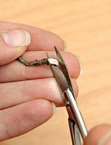 Можжевельник, подготовка черенка