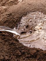 Размножение пионов