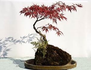 Камни как источник вдохновения