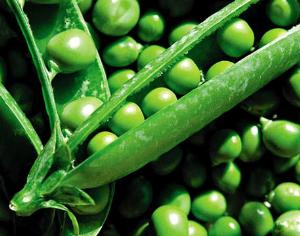 Детектив из жизни растений