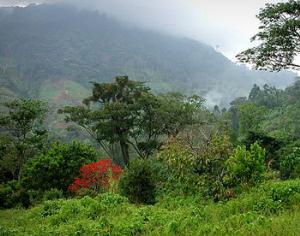 Google устраняет белые пятна на карте