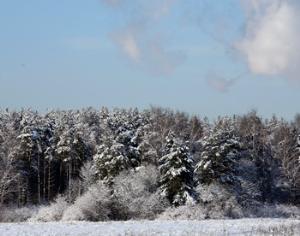 Рождественская жара