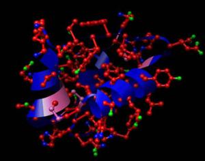 Растительный инсулин испытывают на людях
