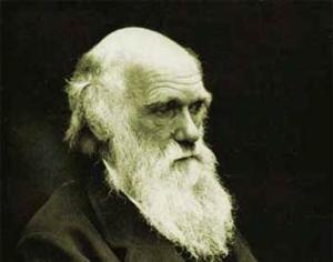 Католики голосуют за Дарвина