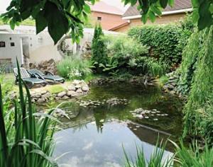 Журнал "Садовник" и компания SOLO объявляют конкурс "Любимый уголок сада"