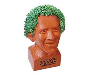Травяная голова Обамы запрещена к продаже в США