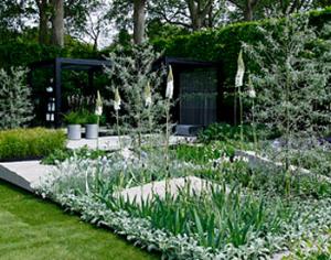 Челси-2010 открыто