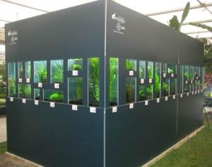 Золото Chelsea Flower Show в Москве